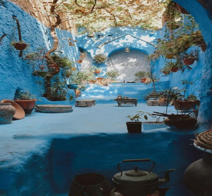 From Fez: Chefchaouen Guided Day Tour - Visiting the Kasbah and the Grand Mosque