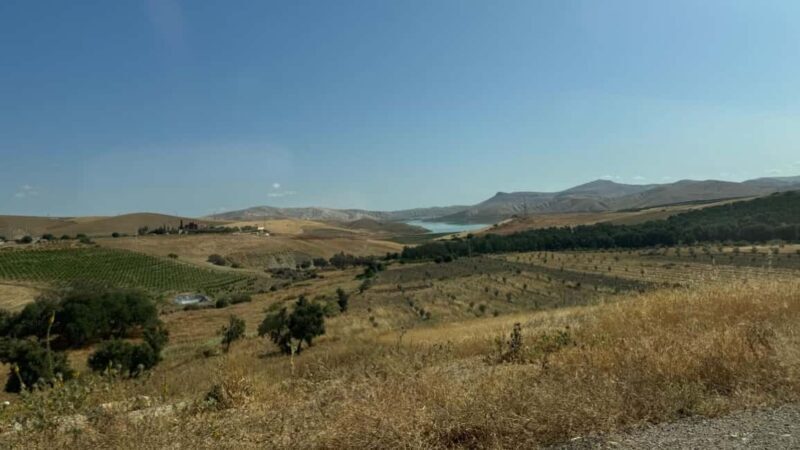From Fez: Meknes, Volubilis and Moulay Idriss Day Trip - Final Verdict