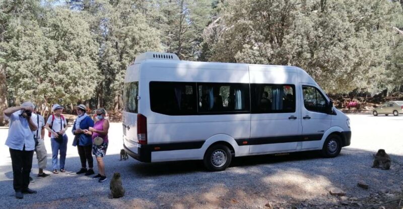 From Fez: Middle Atlas Day Trip with Ifrane National Park - Key Points