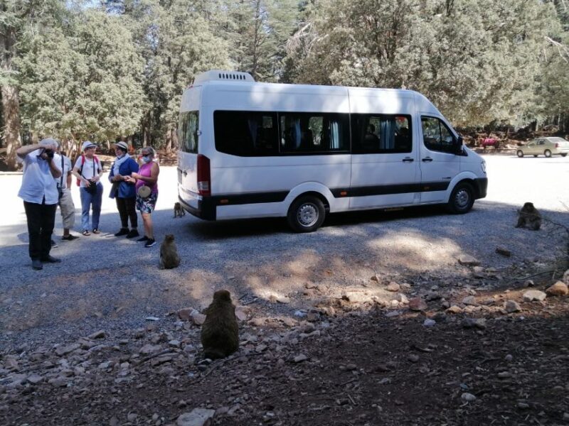 From Fez: Middle Atlas Day Trip with Ifrane National Park - What to Expect from This Middle Atlas Tour