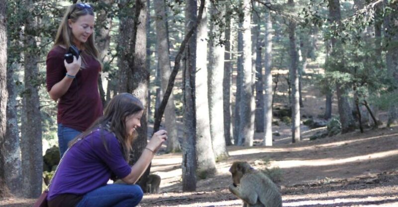 From Fez: Middle Atlas Mountains Day Trip - FAQ