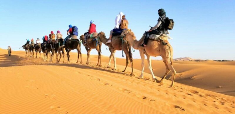From Fez: Round-Trip Overnight Merzouga Desert Tour - Introduction