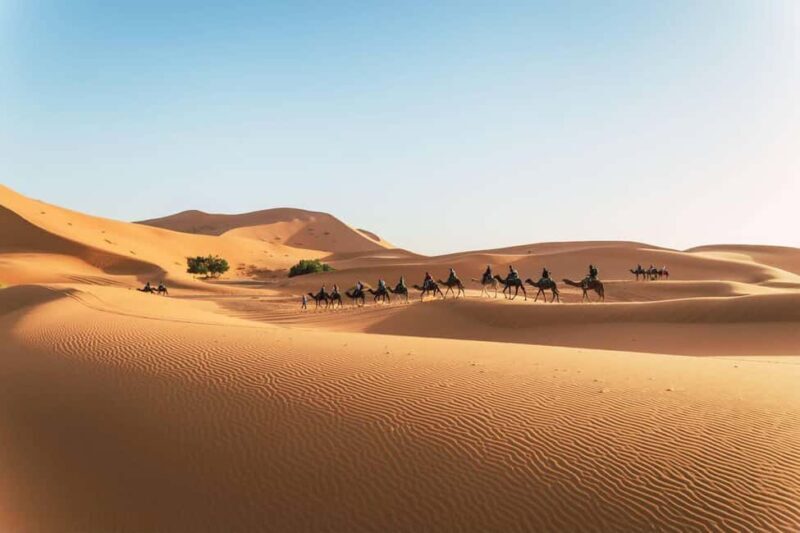 From Fez: Sahara Desert Tour to Marrakech in 3 Days - Overall Experience and Value