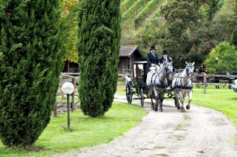 from-florence-carriage-ride-in-chianti-hills-with-lunch