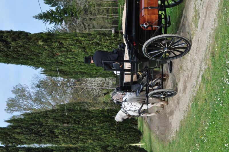 from-florence-carriage-ride-in-chianti-hills-with-lunch