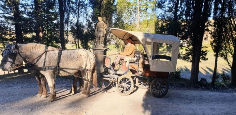 from-florence-carriage-ride-in-chianti-hills-with-lunch