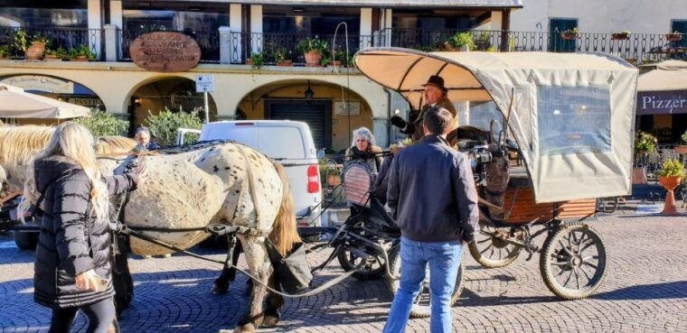 from-florence-carriage-ride-in-chianti-hills-with-lunch