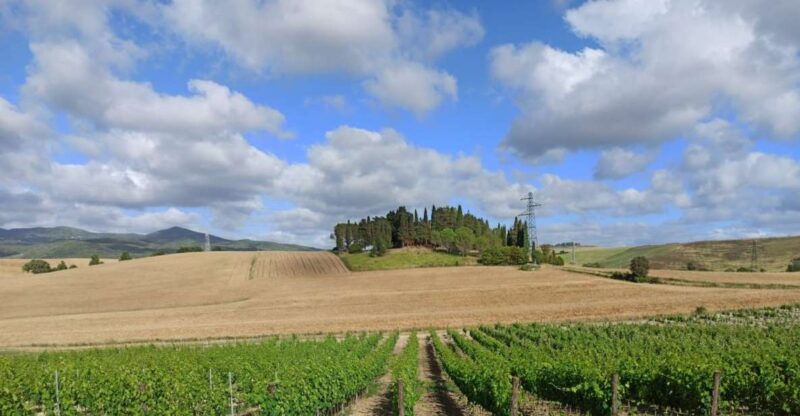 from-florence-chianti-afternoon-tour-visit-to-2-wineries