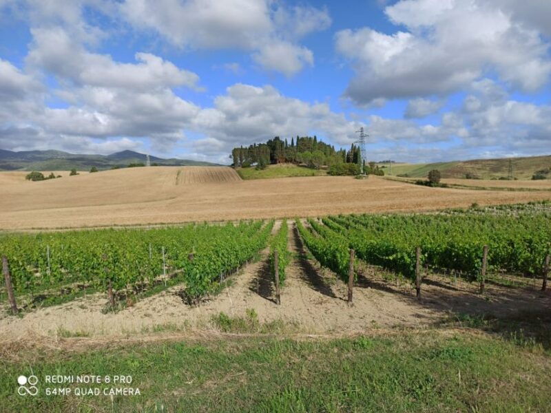 from-florence-chianti-afternoon-tour-visit-to-2-wineries