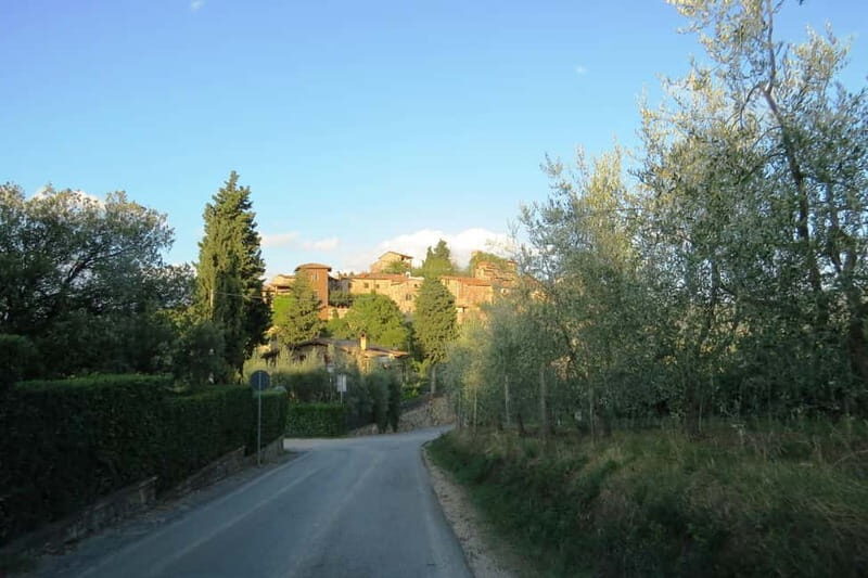 From Florence: Chianti E-Bike Tour with Organic Farm Lunch - The Lunch: Organic, Local, Delicious