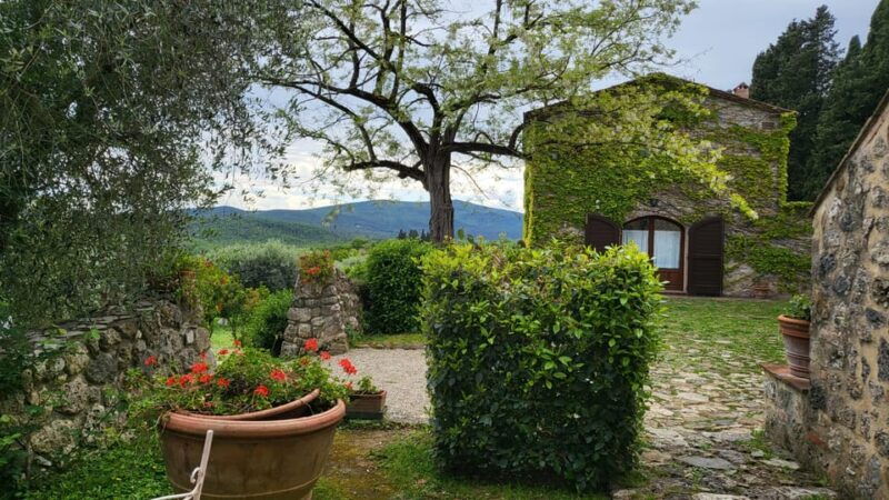 from-florence-chianti-half-day-afternoon-tour