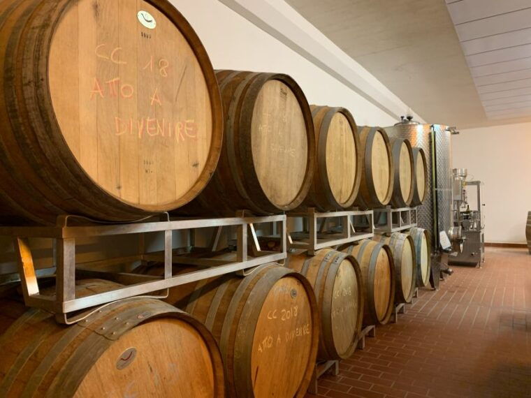 from-florence-chianti-hills-half-day-tour-with-wine-tasting