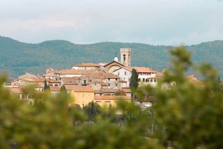 from-florence-chianti-hills-wineries-tour-with-tasting