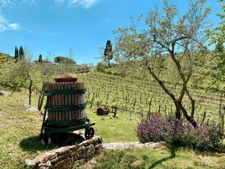 from-florence-chianti-hills-wineries-tour-with-tasting