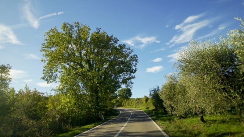 from-florence-chianti-montalcino-montepulciano-minivan