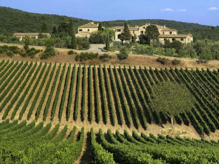 from-florence-chianti-montalcino-montepulciano-minivan
