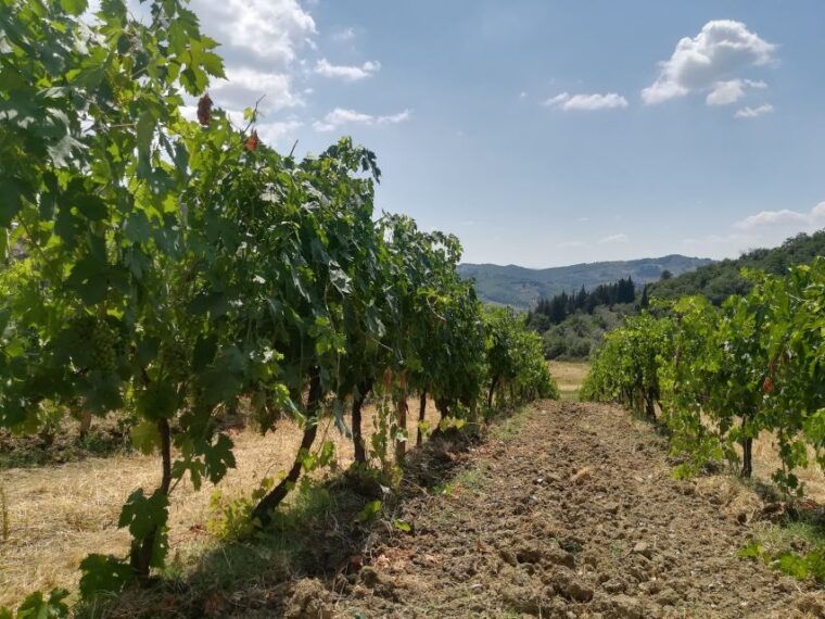 from-florence-chianti-self-guided-vespa-tour-with-lunch