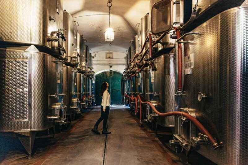 from-florence-chianti-wine-and-food-tasting-safari