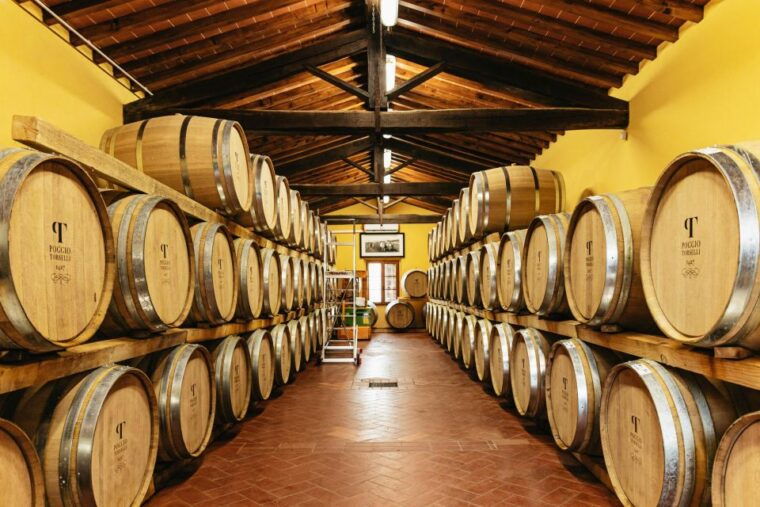 from-florence-chianti-wine-and-food-tasting-safari