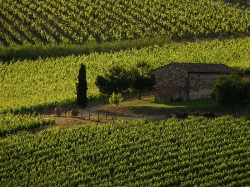 from-florence-chianti-wine-tastings-at-sunset-day-trip