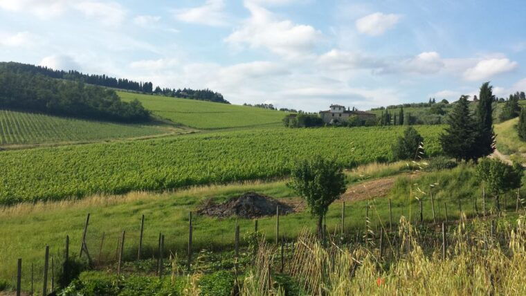 from-florence-chianti-wine-tour-at-2-estates-w-lunchsnacks