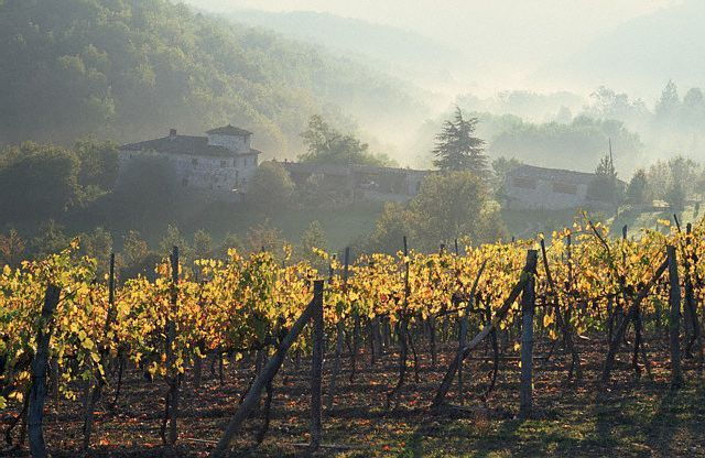 from-florence-chianti-wine-tour-with-driver-guide
