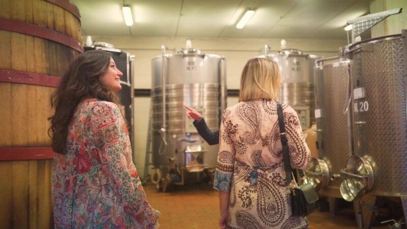 from-florence-chianti-wine-tour-with-tastings