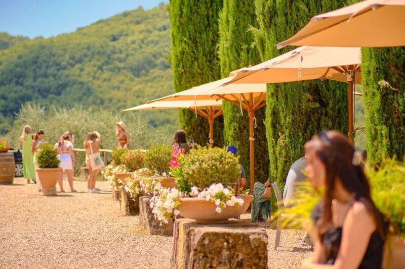 from-florence-chianti-wineries-tour-with-7-wine-tastings