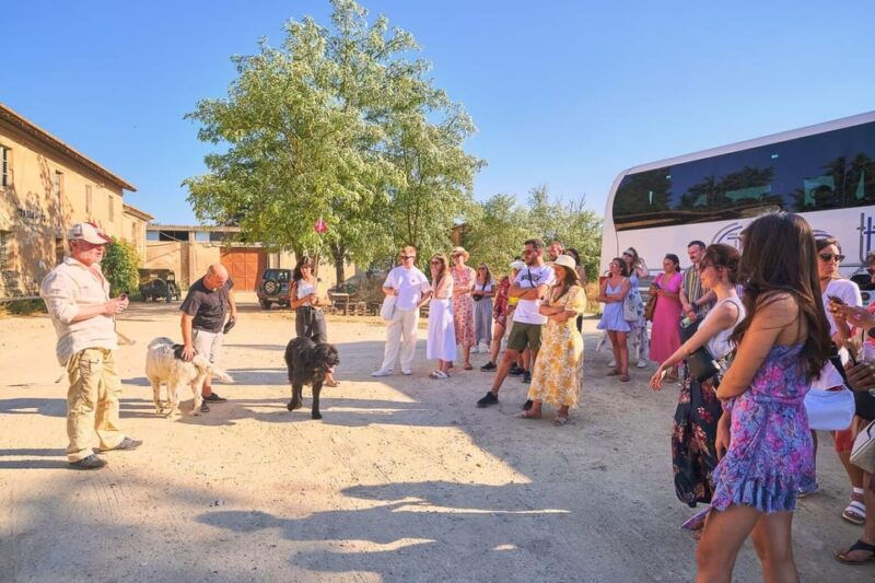 from-florence-chianti-wineries-tour-with-7-wine-tastings