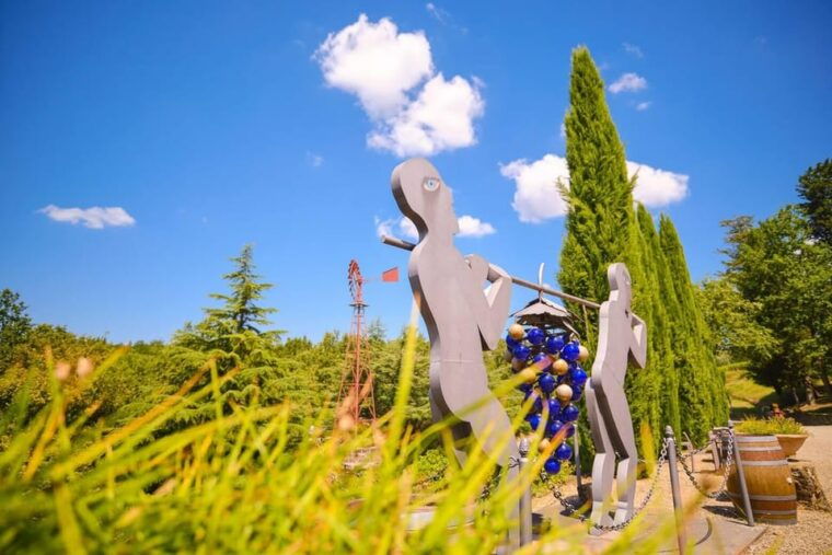 from-florence-chianti-wineries-tour-with-7-wine-tastings