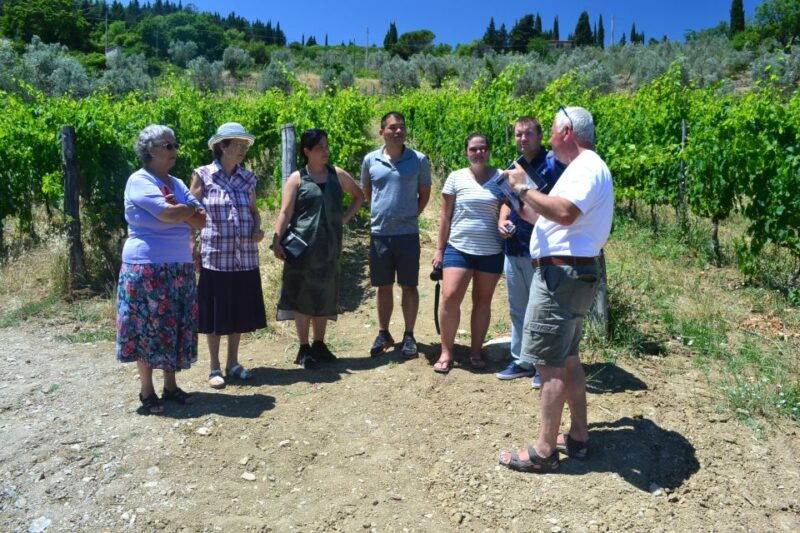 from-florence-chianti-winery-tour-with-lunch