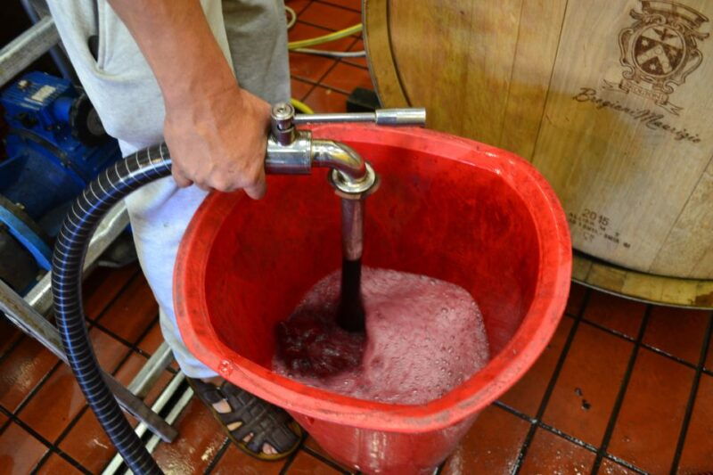 from-florence-chianti-winery-tour-with-lunch