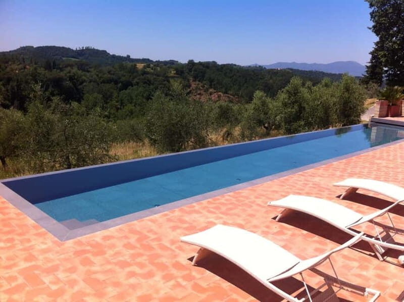From Florence: Cooking Experience at hilltop farm in Tuscany - Exploring the Estate: Vineyards and Olive Groves  