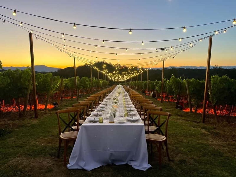 From Florence: Cooking Experience at hilltop farm in Tuscany - Lunch, Wine, and Olive Oil Tasting  