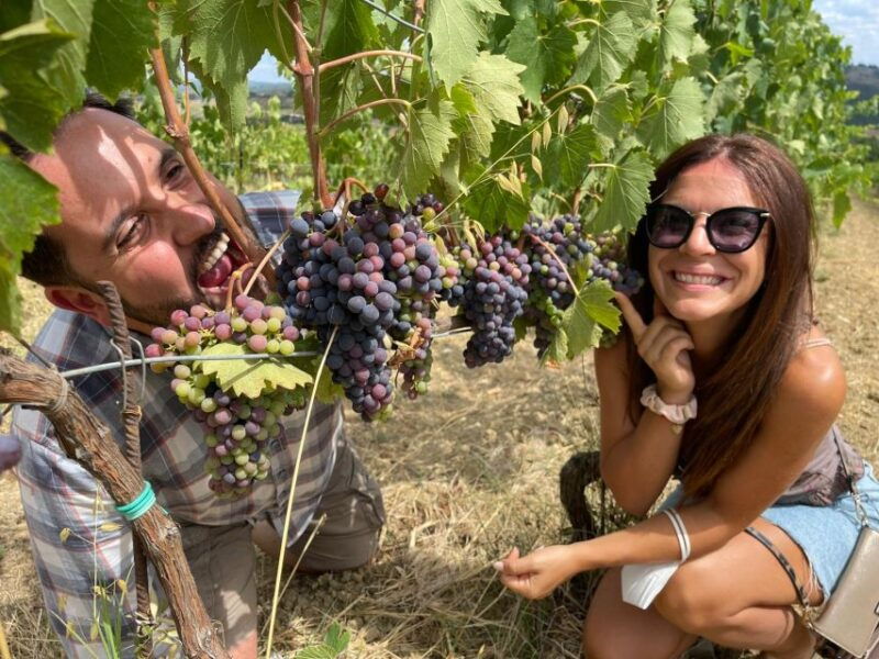 from-florence-exclusive-tour-of-tuscany-by-vintage-tuk-tuk