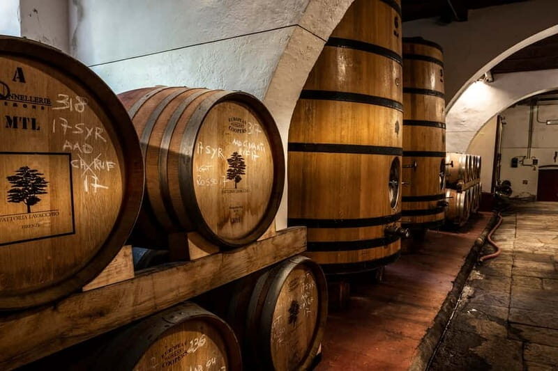 From Florence: Horse Ride and Wine Tour at Estate with Lunch - A Closer Look at the Itinerary and What You Can Expect