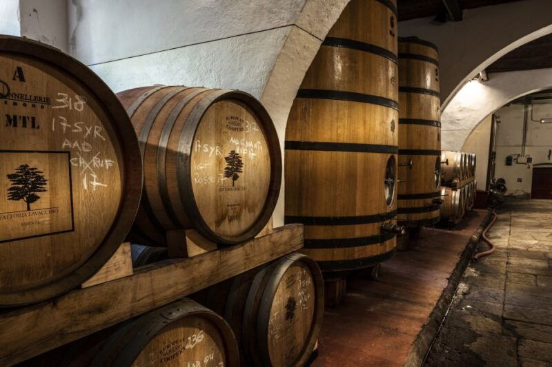 from-florence-horse-ride-and-wine-tour-at-estate-with-lunch