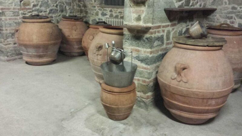 from-florence-horseback-ride-and-olive-oil-and-food-tasting