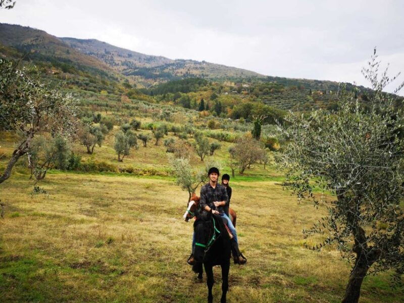 from-florence-horseback-ride-and-olive-oil-and-food-tasting