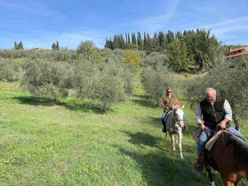 from-florence-horseback-ride-and-olive-oil-and-food-tasting