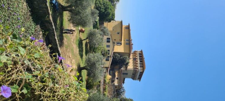 from-florence-horseback-ride-and-olive-oil-and-food-tasting