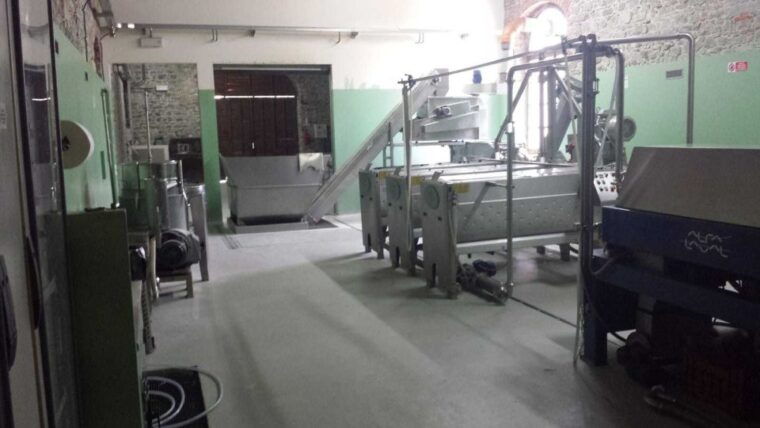 from-florence-horseback-ride-and-olive-oil-and-food-tasting