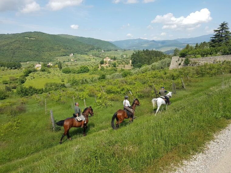 from-florence-horseback-ride-and-olive-oil-and-food-tasting