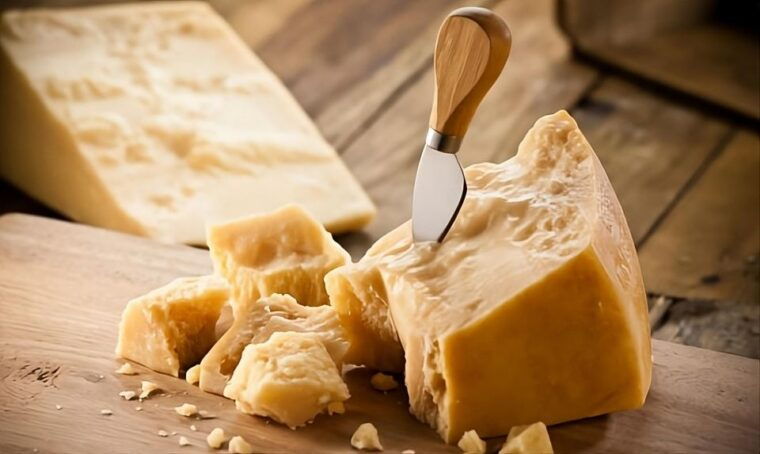 from-florence-parmesan-balsamic-private-tour-of-romagna