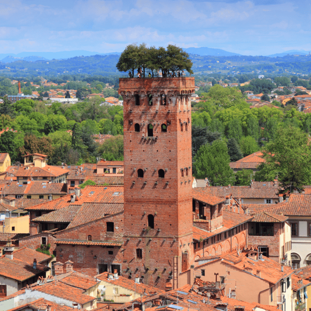 from-florence-pisa-lucca-and-volterra-day-trip