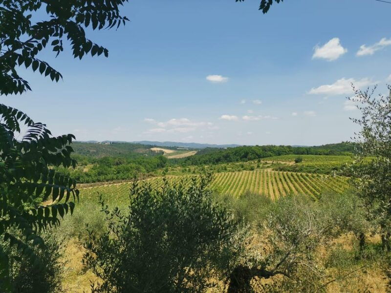 from-florence-private-day-trip-to-san-gimignano-pisa