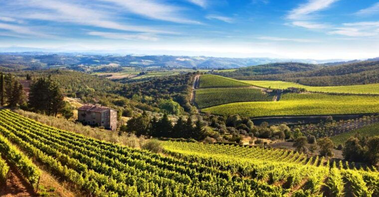 from-florence-private-half-day-chianti-tour-wine-tasting