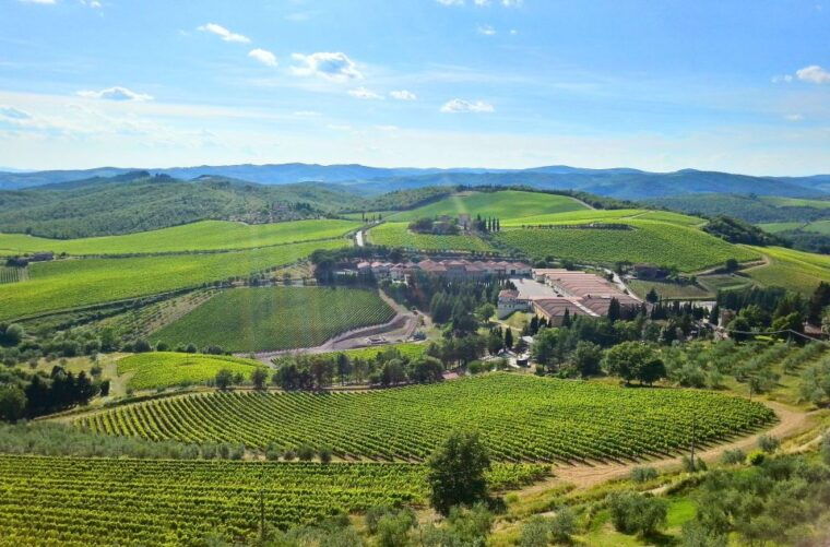 from-florence-private-half-day-chianti-tour-wine-tasting