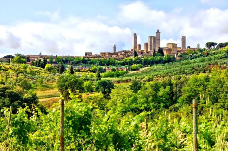 from-florence-private-pisa-siena-and-san-gimignano-trip