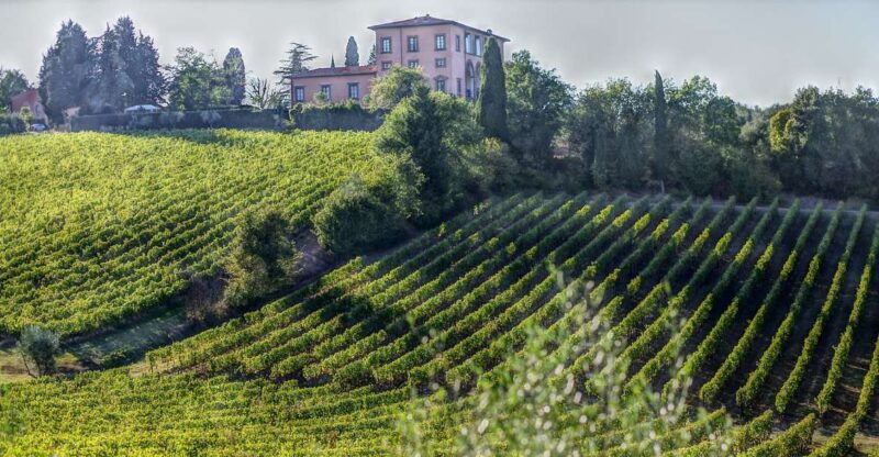 from-florence-private-wine-experience-in-chianti-classico